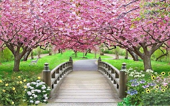 （示意圖源：互聯網） 