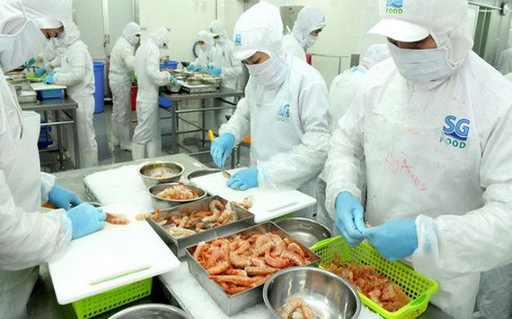 SG Food 公司加工蝦類出口。(圖源:高昇)