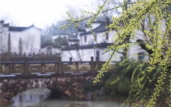 （示意圖源：互聯網） 