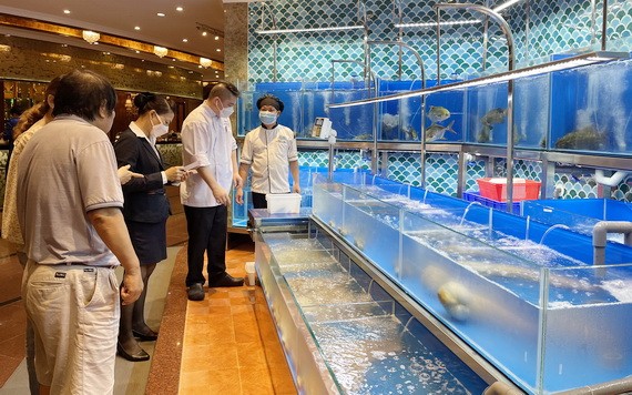 食客在銀庭“海鮮城”選擇海鮮。