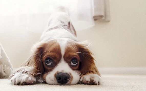 （示意圖源：互聯網） 