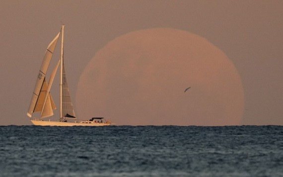 超級血月：圖為5月26日，月亮從澳大利亞悉尼遠處海邊漸漸升起。（圖源：AP）