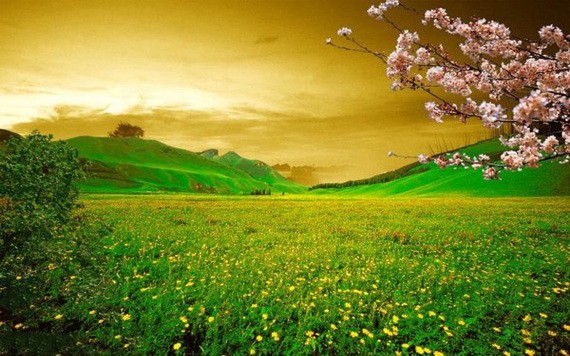 （示意圖源：互聯網） 