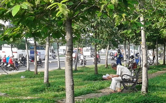 疫情前坐在公園閱讀書報是多麼的寫意,也是幸福的一種。