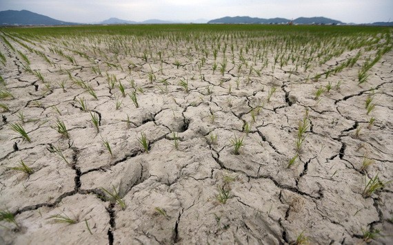 （示意圖源：互聯網）