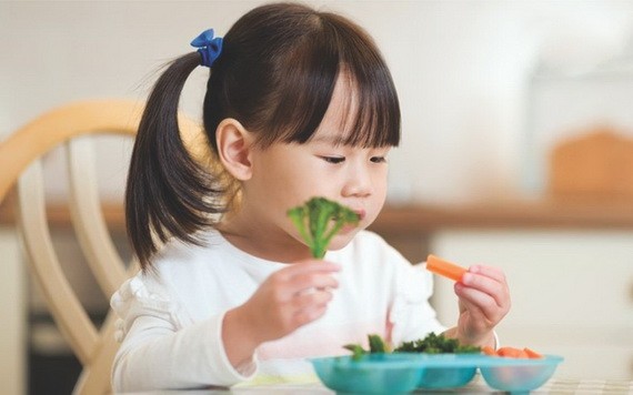 （示意圖源：互聯網） 