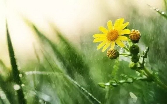 風雨飄搖 40 年