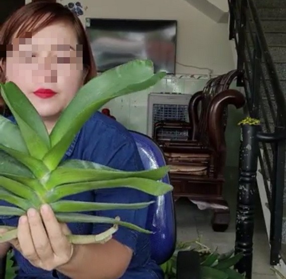 Đ.T.K.Th在臉譜社交網上以現場直播向網民推銷蘭花盆栽。（圖源：FB截圖） 