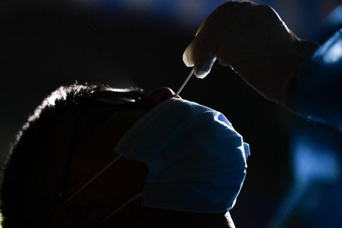 本市進入新常態 ảnh 18