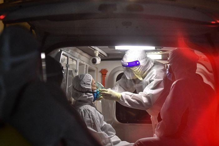 本市進入新常態 ảnh 1