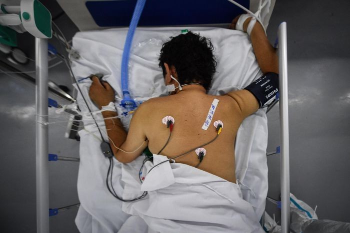 本市進入新常態 ảnh 33