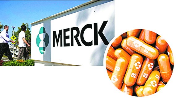 默克藥廠研發的口服藥“莫那比拉韋”（圓圖）。 （圖源：互聯網）