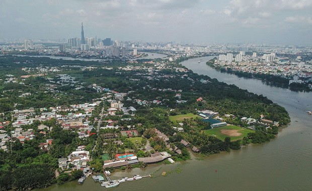 芹耶、清多迎來喜訊 ảnh 1