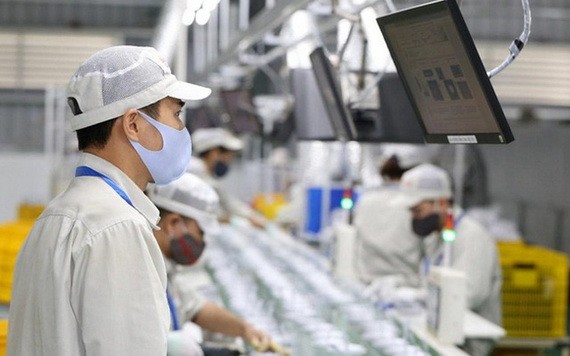 Navigos Group考察結果顯示，約49.9%企業不裁員並保持疫情前的工資及福利。（示意圖源: 民智）