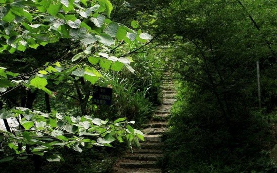 （示意圖源：互聯網） 