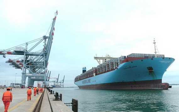 丐密-氏槐「超級港口」