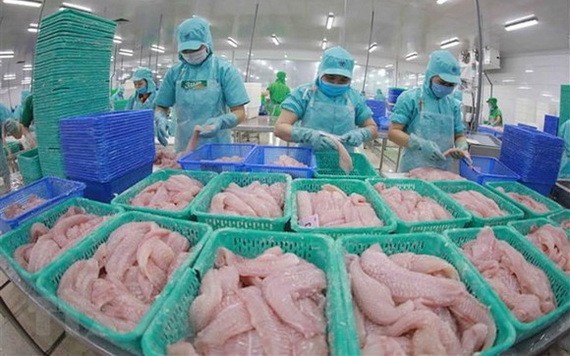 加工查(魚字旁)魚一隅。