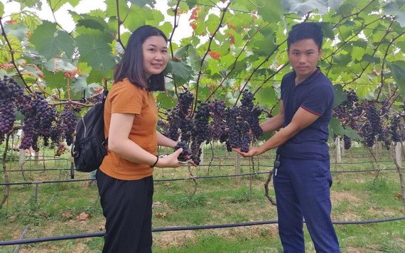 黃海防與參觀葡萄園的客人合照。