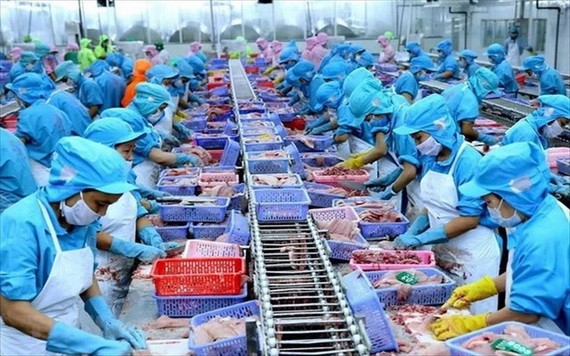 水產品加工生產線一隅。(圖:武生)
