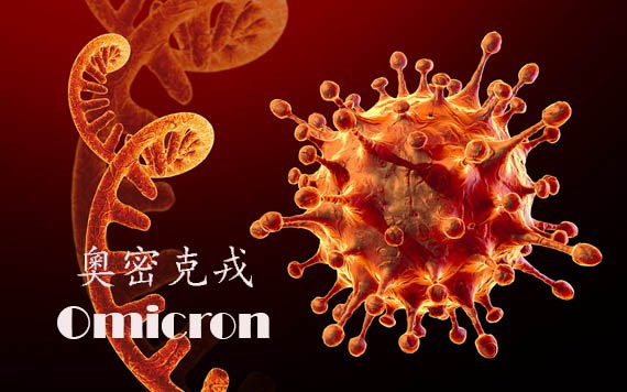 奧密克戎新冠變異毒株。(示意圖:互聯網)