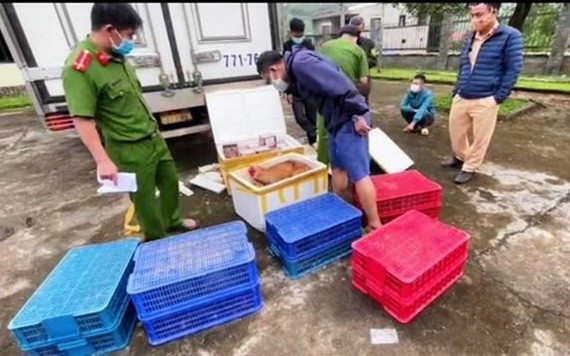 被查獲的非法運送鞭炮和野生動物。（圖：警方提供）