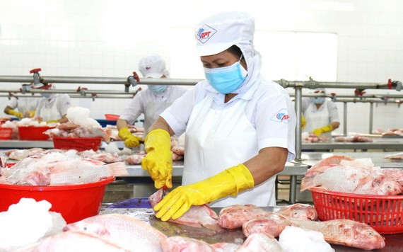 圖為平新郡新造工業區APT水產公司加工車間一隅。（圖：安芳）