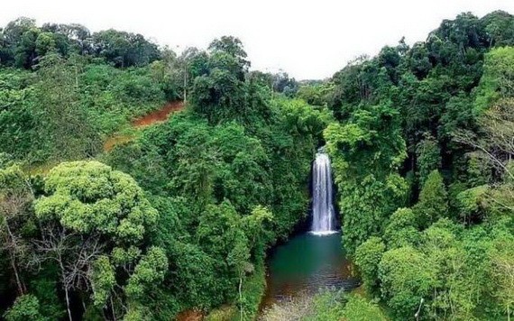 美麗的黑荀令人驚嘆。