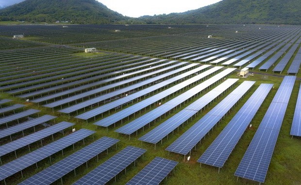 晨星集團黨部繼續健全堅強 ảnh 2