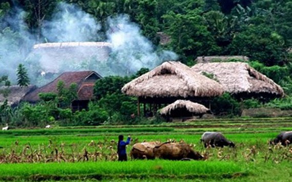 （示意圖：互聯網）