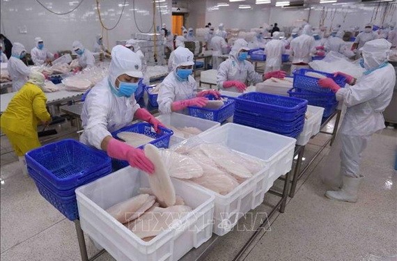 年關將至，IDI工人忙碌工作。