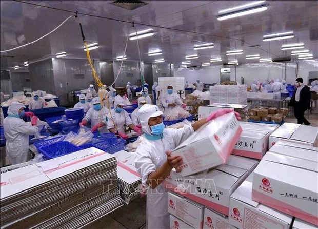 披荊斬棘水產出口繼續拓展市場 ảnh 2