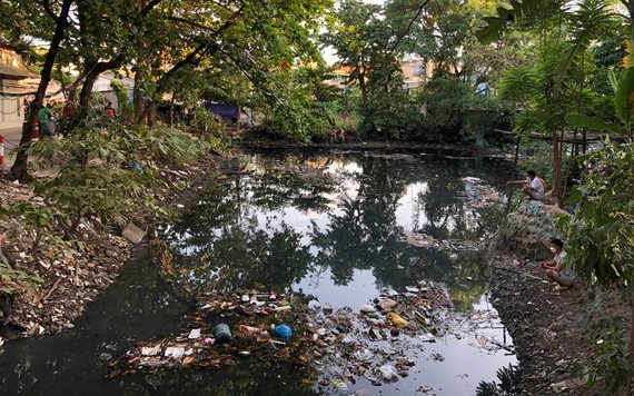 舊邑郡九闡涌的環境污染，蒼蠅和蚊子繁殖。