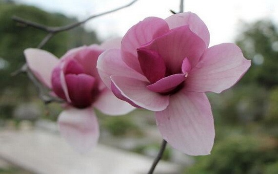 （示意圖：互聯網）