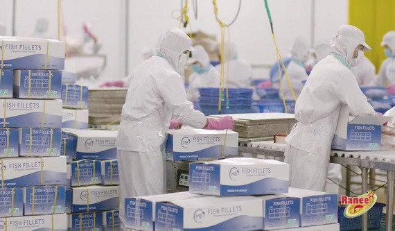 IDI 陸續收到南美洲的大量訂單。