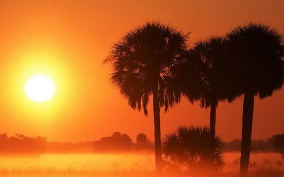 自1980年代以來，每一個十年都比前一個十年更溫暖。（圖：世界氣象組織）