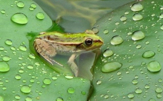 （示意圖：互聯網）