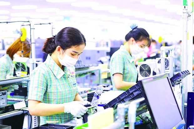 越南經濟逐漸復甦 ảnh 1