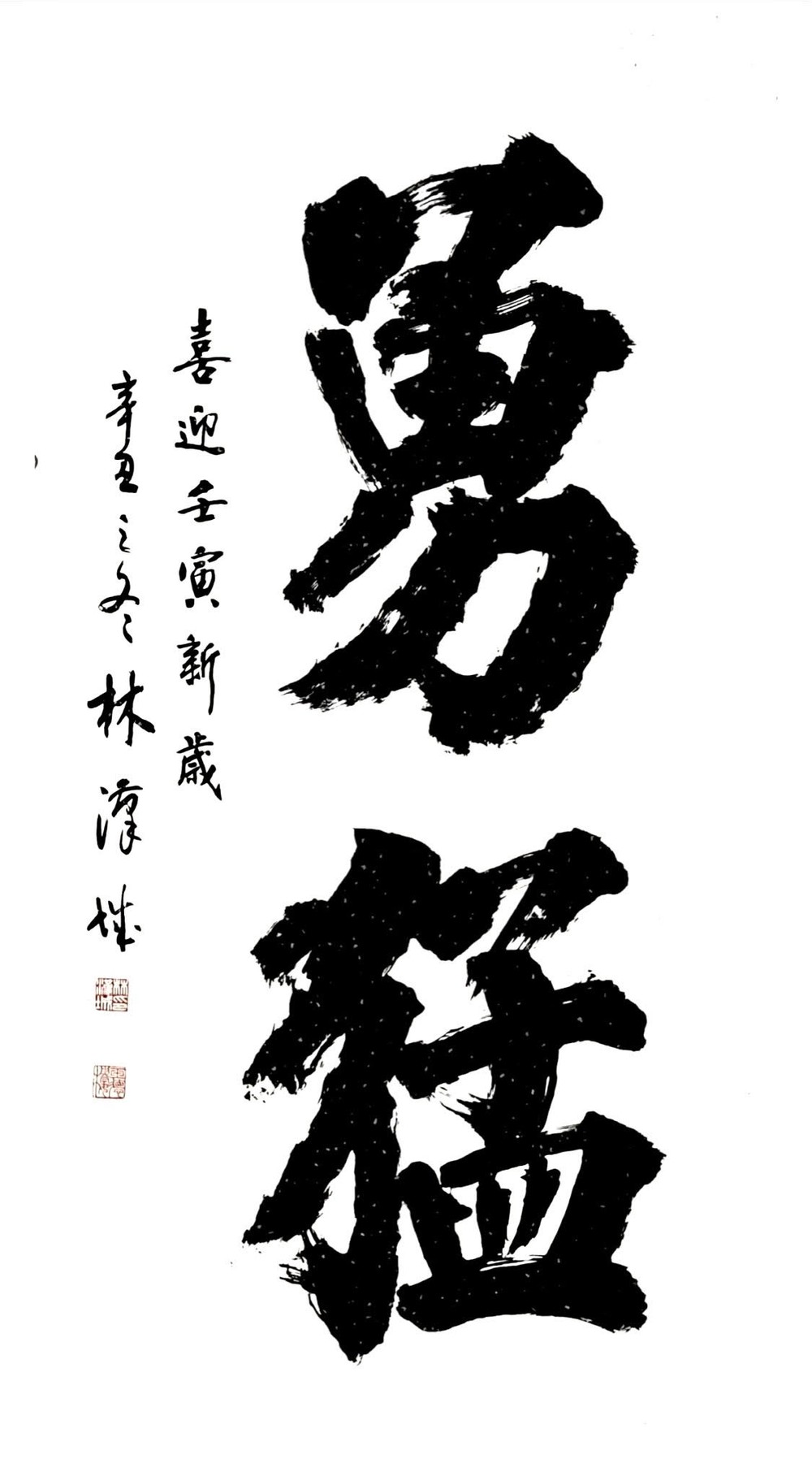 瑞虎勇猛無畏隨春至 ảnh 1