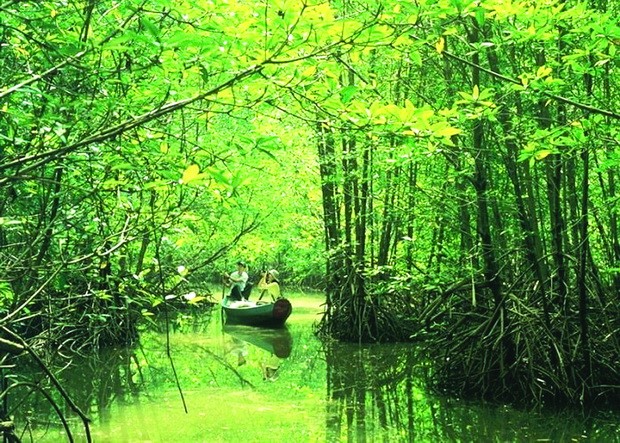 越南旅遊業邁向復甦 ảnh 2