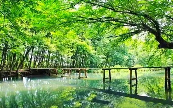 （示意圖：互聯網）