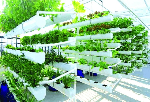 “綠農莊”─體驗村野純樸生活 ảnh 5