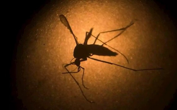 （示意圖：互聯網）