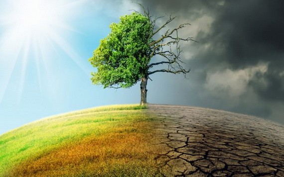 （示意圖：互聯網）