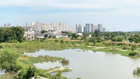 2022年，本市監察部門集中徹底處理進度緩慢的事項，其中包括與守添新都市區有關事項。