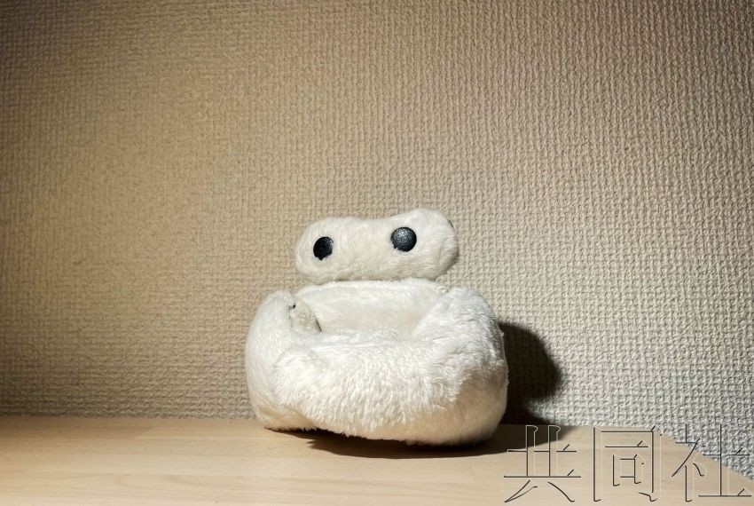 筑波大學團隊開發的機器人“Reliebo”。（圖：共同社）