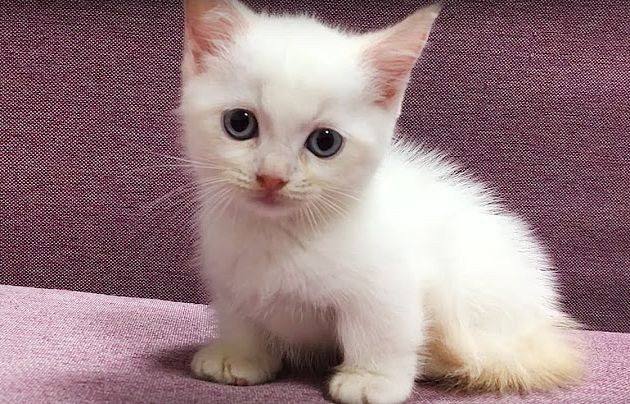 (示意圖:互聯網)