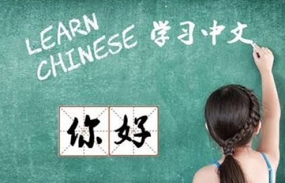 （示意圖：互聯網）