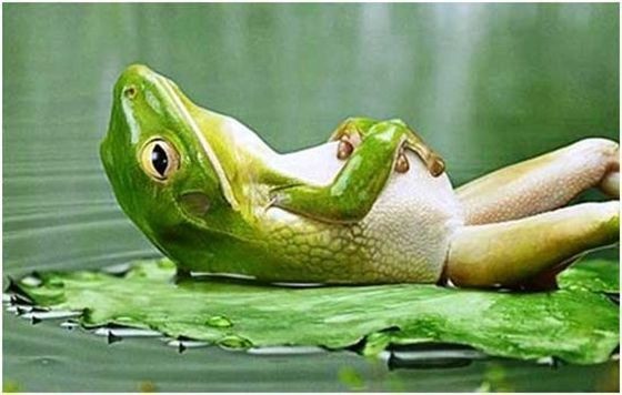 （示意圖：互聯網）