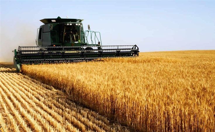 俄致力於全球糧食安全