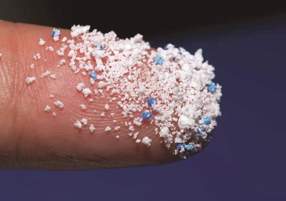 微塑料。（圖：互聯網）